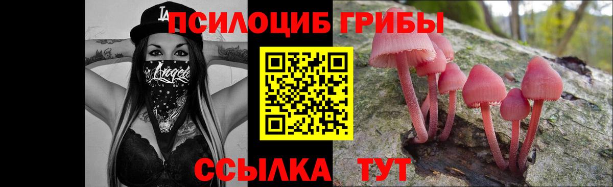 Чайковский  Псилоцибиновые грибы Psilocybe  Вход с VPN  Галлюциногенные грибы Psilocybe 